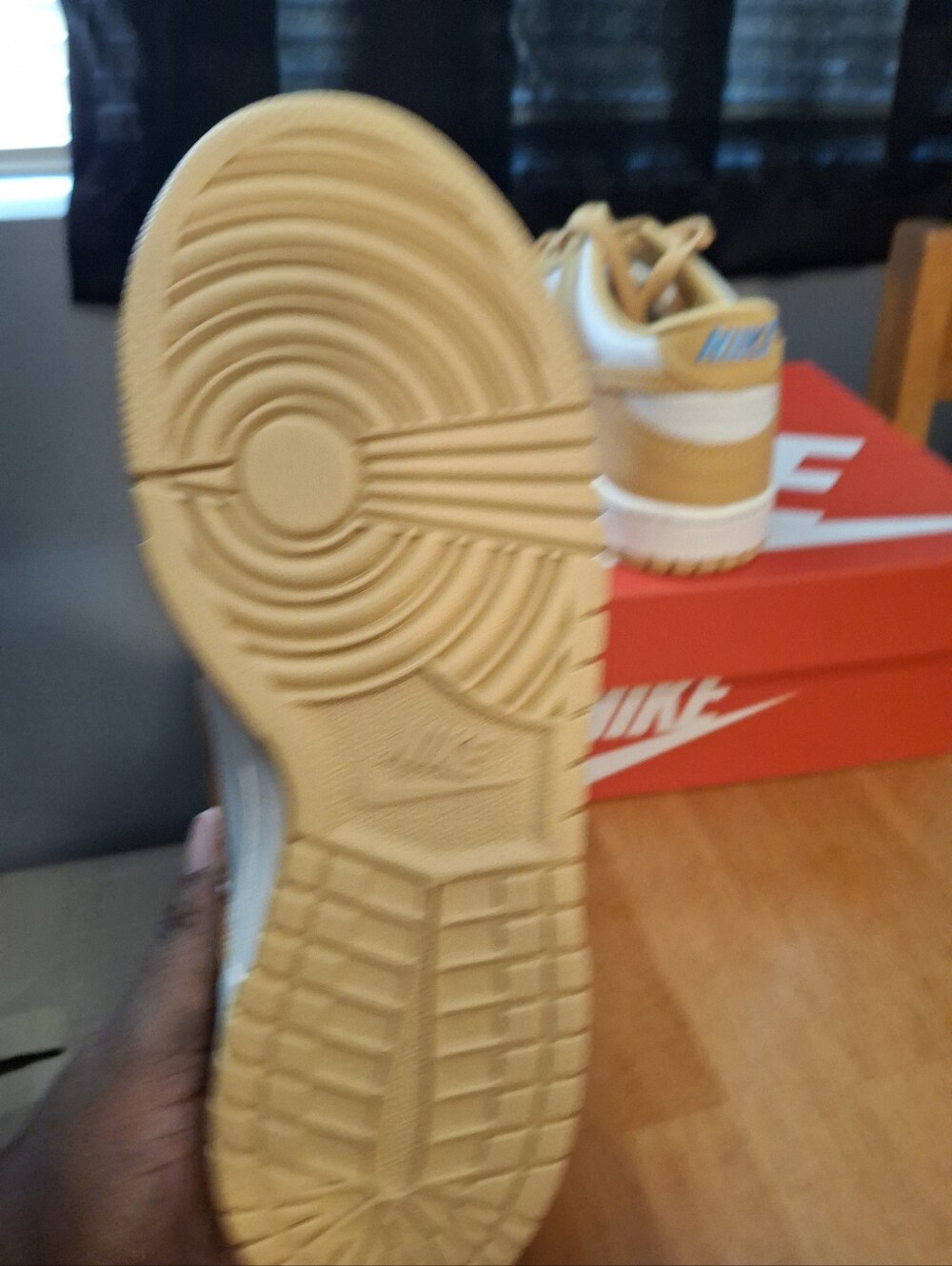 Nike Dunk Low ( GS) - Picture 16 of 16